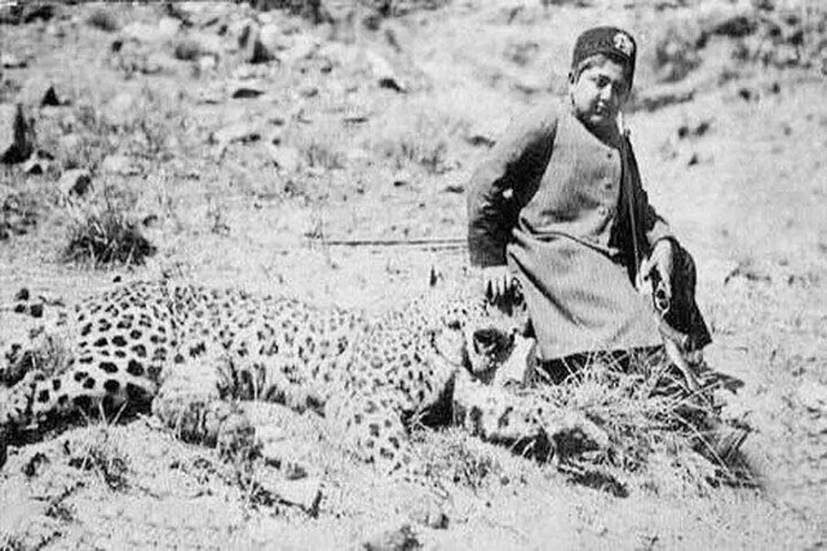 قله پلنگچال محل زندگی پلنگ ها در تهران!