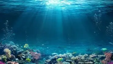 این موجود پس از ۷ هزار سال، دوباره زنده شد!