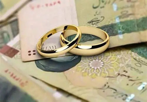 نمایندگان مجلس خواستار بازنگری عراقچی در تعهدات NPT شدند