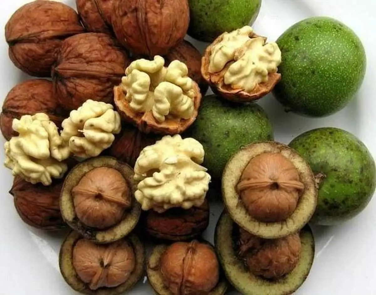 ۵ راهکار ساده برای خشک کردن گردوی سبز در خانه