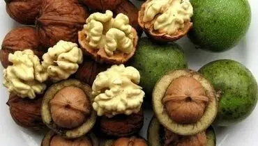 ۵ راهکار ساده برای خشک کردن گردوی سبز در خانه