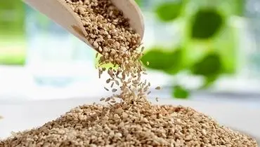 خواص کنجد برای دیابتی ها / یک درمان طبیعی برای کنترل قند خون
