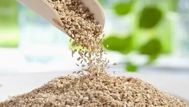 خواص کنجد برای دیابتی ها / یک درمان طبیعی برای کنترل قند خون
