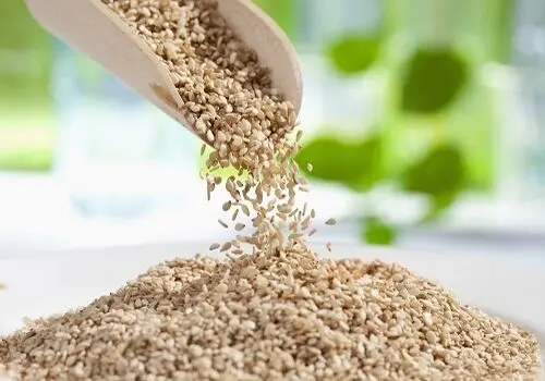 گیاه گزنه بهترین درمان طبیعی سنگ کلیه
