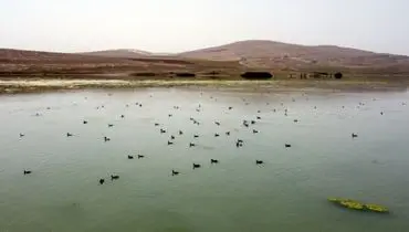 سرریز شدن یک تالاب بین‌المللی در میان اخبار جنگ