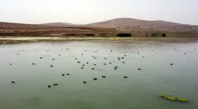 سرریز شدن یک تالاب بین‌المللی در میان اخبار جنگ