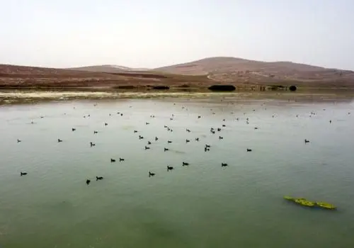 کاهش جدی آب دریای خزر براثر تخریب ۷۰ درصد تالاب‌های کشور در سال گذشته