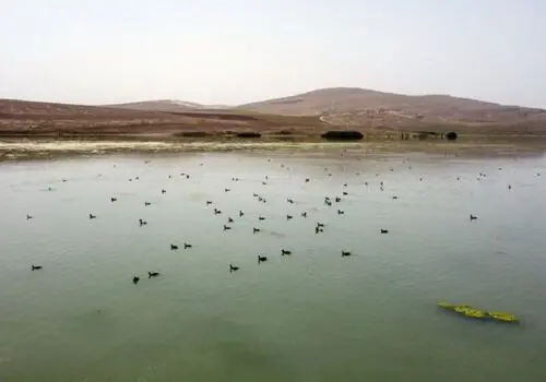 تصاویری امیدوارانه از احیای سه تالاب و دریاچه ایران