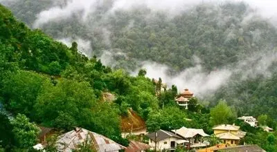 تصویری از زندگی زن و شوهر گیلانی در جنگل؛ ۹۱ سال پیش