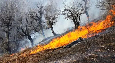 آتش‌سوزی در جنگل معروف «شیطان‌کوه» + فیلم