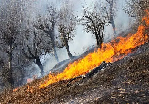 آتش سوزی در یک مغازه و مهمانسرا در خیابان سعدی