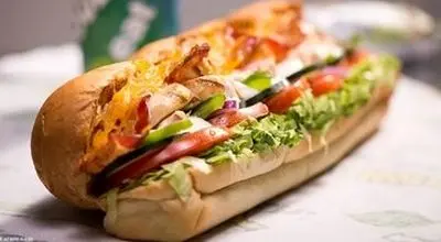 قیمت ساندویچ‌ ترمز برید