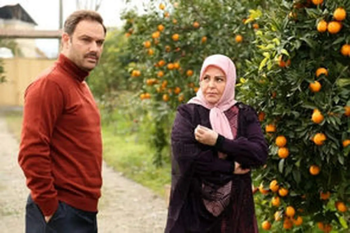 قاب پربازدید از دورهمی سه بازیگر سریال ستایش