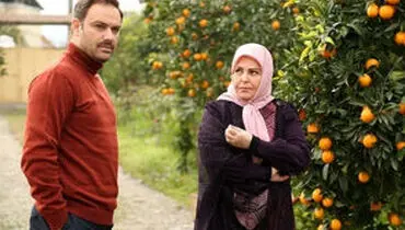 قاب پربازدید از دورهمی سه بازیگر سریال ستایش
