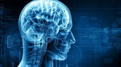 نظریه ذهن آبی چیست و چگونه عمل می‌کند؟