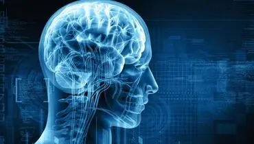 نظریه ذهن آبی چیست و چگونه عمل می‌کند؟