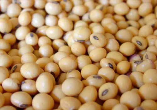 بهترین روش نگهداری گوشت بسته بندی برای حفظ سلامت
