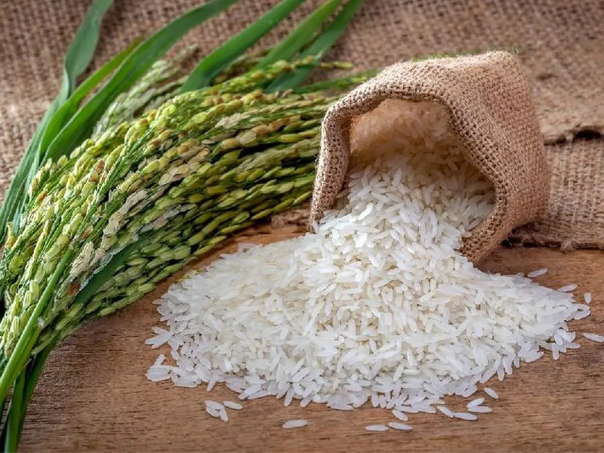 برنج هندی چند شد؟ آخرین قیمتها در جدول ۲۲ مهر