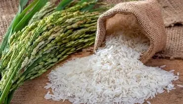 برنج هندی چند شد؟ آخرین قیمت‌ها در جدول ۲۲ مهر