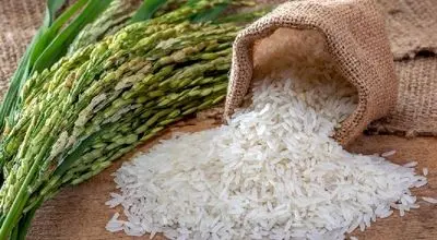 برنج هندی چند شد؟ آخرین قیمتها در جدول ۲۲ مهر