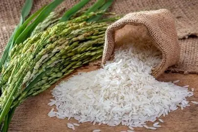 برنج هندی چند شد؟ آخرین قیمت‌ها در جدول ۲۲ مهر