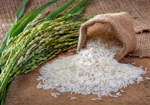 برنج هندی چند شد؟ آخرین قیمت‌ها در جدول ۲۲ مهر