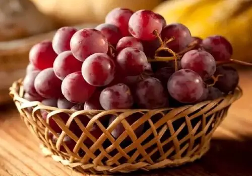 تاثیر خارق‌العاده لامپ برای تولید میوه دراگون‌فروت+فیلم