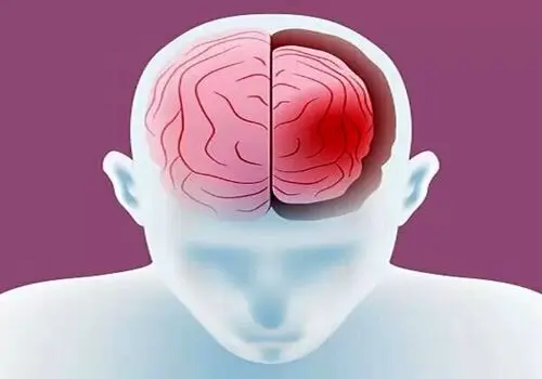 شکلات تلخ؛ شیرینی سالم برای پاکسازی بدن

