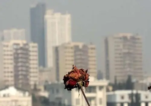 تهرانی‌ها مراقب باشند امروز جریمه نشوند