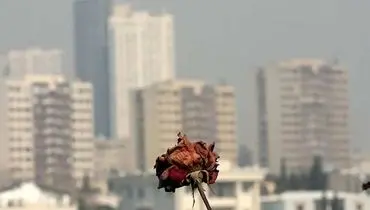 پشت پرده فاجعه «آلودگی هوا» در تهران 