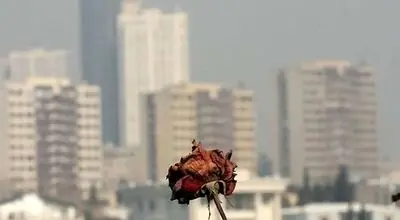 پشت پرده فاجعه «آلودگی هوا» در تهران 