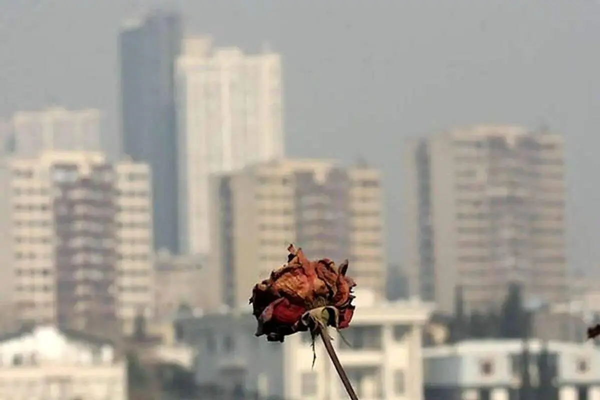 پشت پرده فاجعه «آلودگی هوا» در تهران 