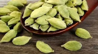 ادویه‌ای شگفت‌انگیز برای کنترل قند خون و خوشبو کردن دهان


