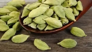 ادویه‌ای شگفت‌انگیز برای کنترل قند خون و خوشبو کردن دهان


