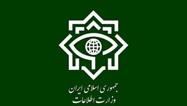 بیانیه مهم وزارت اطلاعات؛ موفقیت‌های اطلاعاتی مرهون همراهی مردم است
