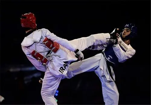 
دو چهره مطرح دیگر در انتخابات تکواندو ثبت‌نام کردند
