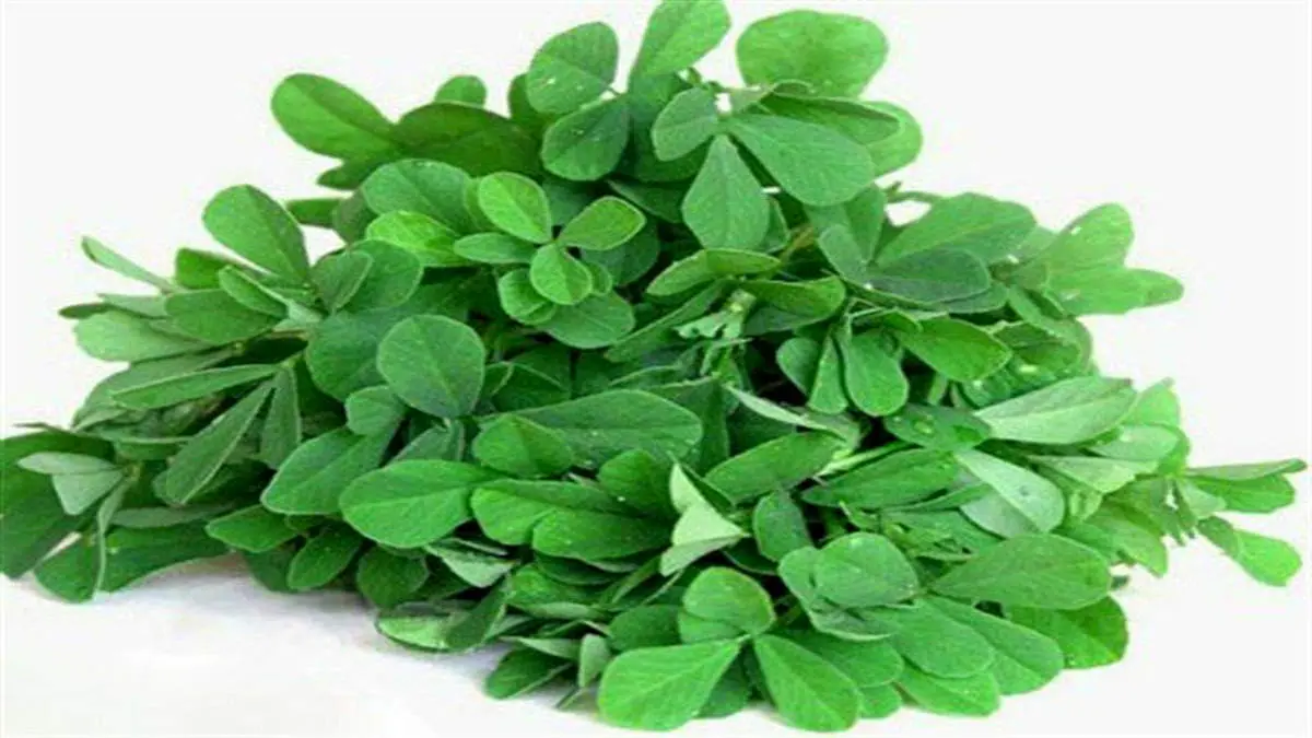 با این سبزی، سنگ کلیه را آب کنید