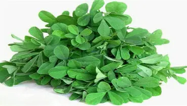 با این سبزی، سنگ کلیه را آب کنید