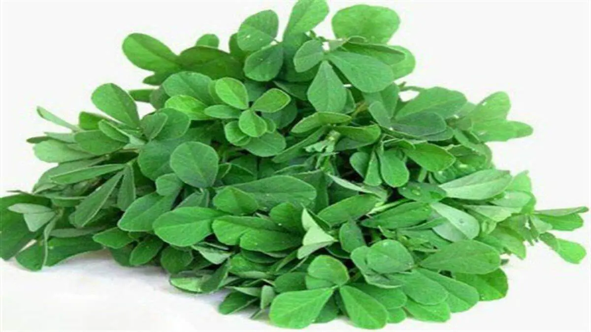 با این سبزی، سنگ کلیه را آب کنید