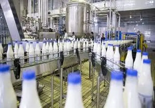 
آیا نوشیدن چای داغ در اول صبح به بهبود عفونت معده کمک می‌کند
