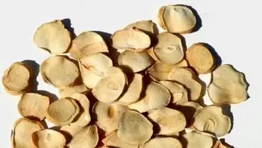 فوت‌وفن خشک کردن پرک موسیر