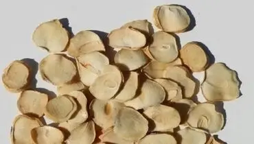 فوت‌وفن خشک کردن پرک موسیر