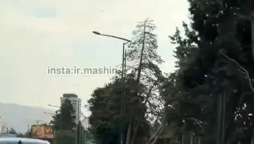 عاقبت لایی‌کشی با بنز در بزرگراه چمران! + ویدیو