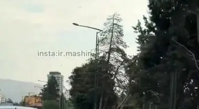 عاقبت لایی‌کشی با بنز در بزرگراه چمران! + ویدیو