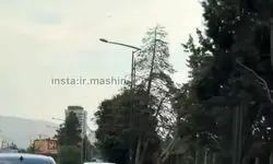 عاقبت لایی‌کشی با بنز در بزرگراه چمران! + ویدیو