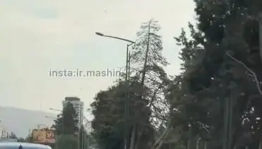 عاقبت لایی‌کشی با بنز در بزرگراه چمران! + ویدیو