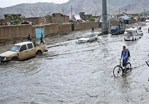 کشف مورچه ای بی رحم با شکلی عجیب که در تاریکی زندگی می کند+ فیلم