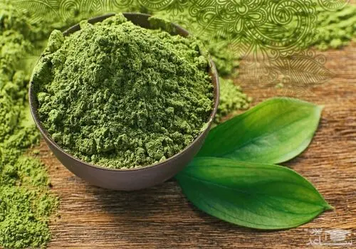 ترکیبی شگفت‌انگیز در حنا؛ امیدی تازه برای درمان آسیب‌های کبدی