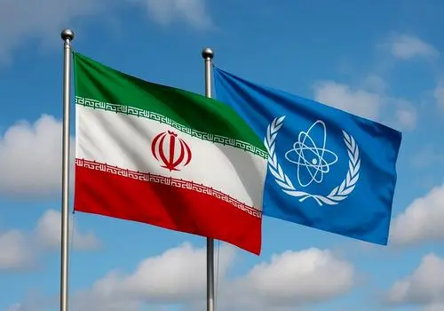 پیشنهاد «ابوشادی» برای احیای مسیر تعامل ایران و آژانس