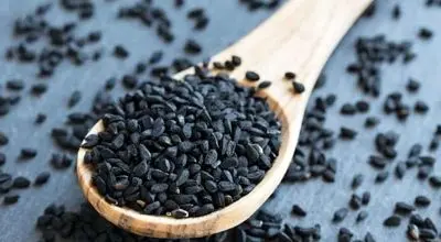 زیره سیاه؛ داروی طبیعی برای تسکین دل‌درد و کاهش نفخ در طب سنتی